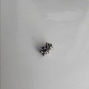 Pandora charm